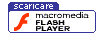 Scaricare il plug-in Flash